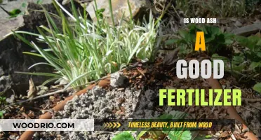 Unlocking the Potential: Wood Ash as a Natural Fertilizer