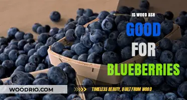 Boosting Blueberry Bliss: The Benefits of Wood Ash in Your Garden