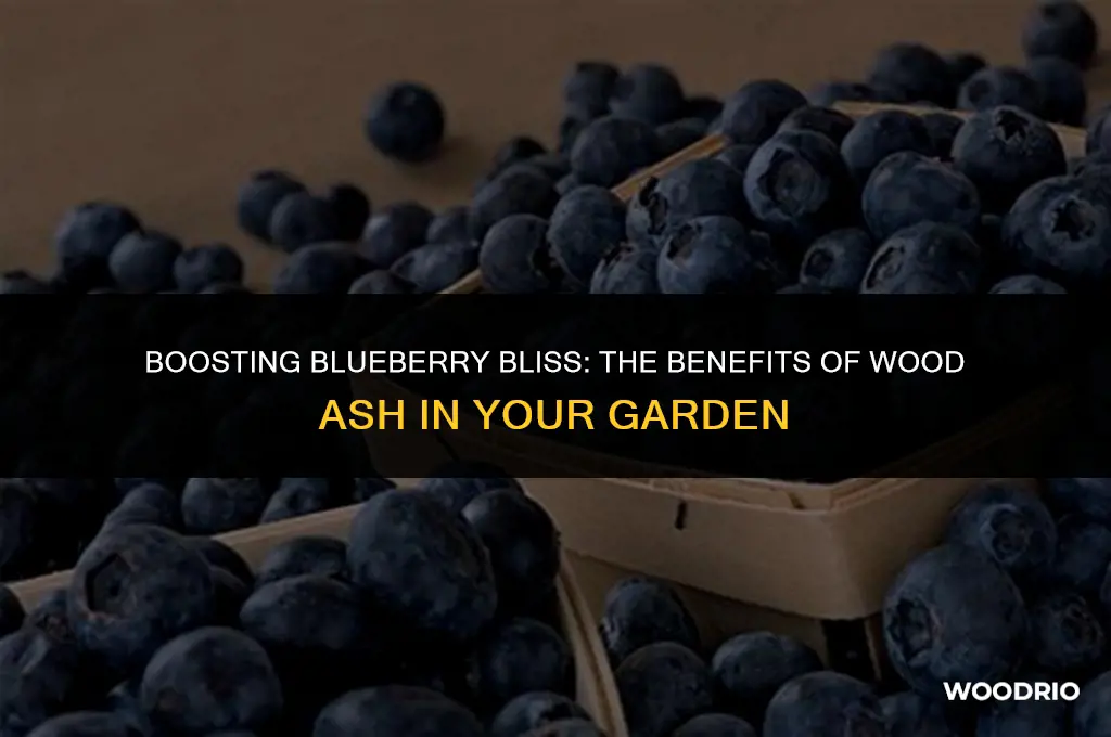 is wood ash good for blueberries