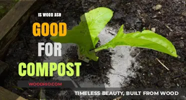 Enriching Your Compost: The Benefits of Adding Wood Ash