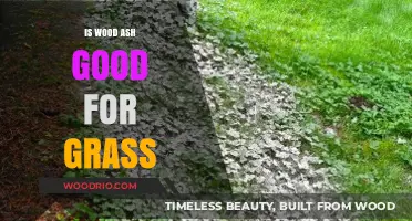 Revitalize Your Lawn: The Surprising Benefits of Wood Ash for Grass