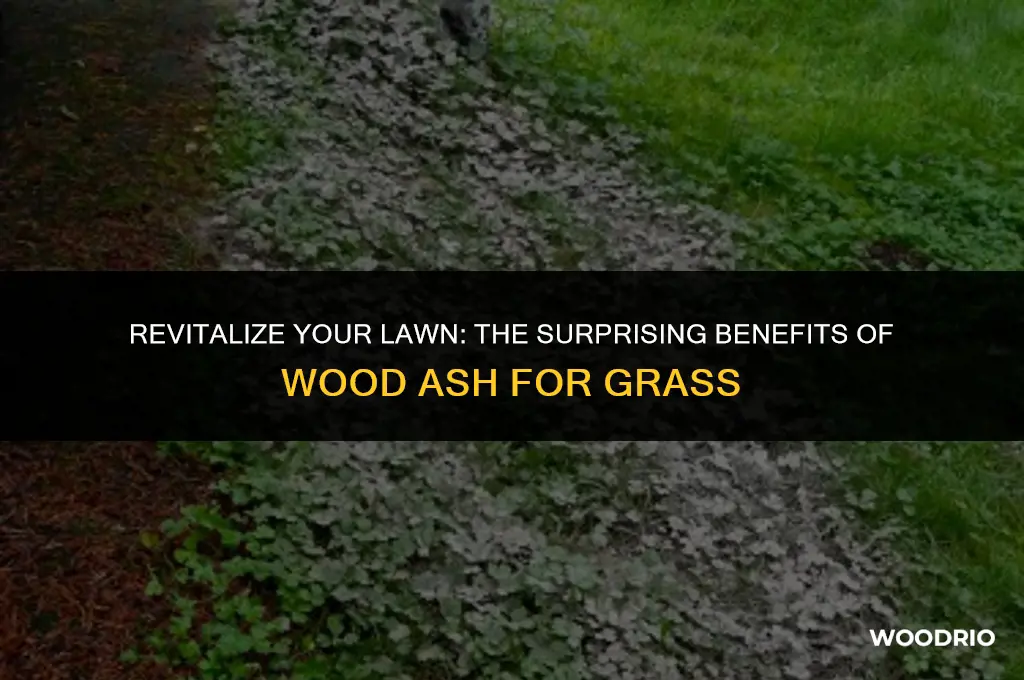 is wood ash good for grass