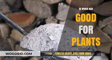 Nurturing Growth: The Benefits of Wood Ash for Plants