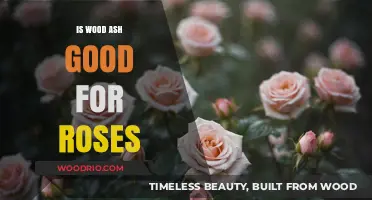 Nurturing Roses: The Benefits and Uses of Wood Ash in Gardening