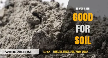 Enriching Your Garden: The Benefits of Wood Ash for Soil Health