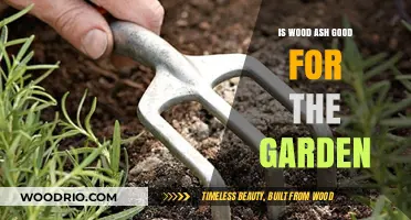 Unlocking the Secrets: How Wood Ash Can Transform Your Garden