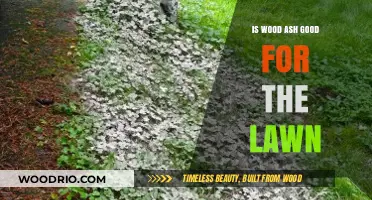 Revitalize Your Lawn: The Surprising Benefits of Wood Ash