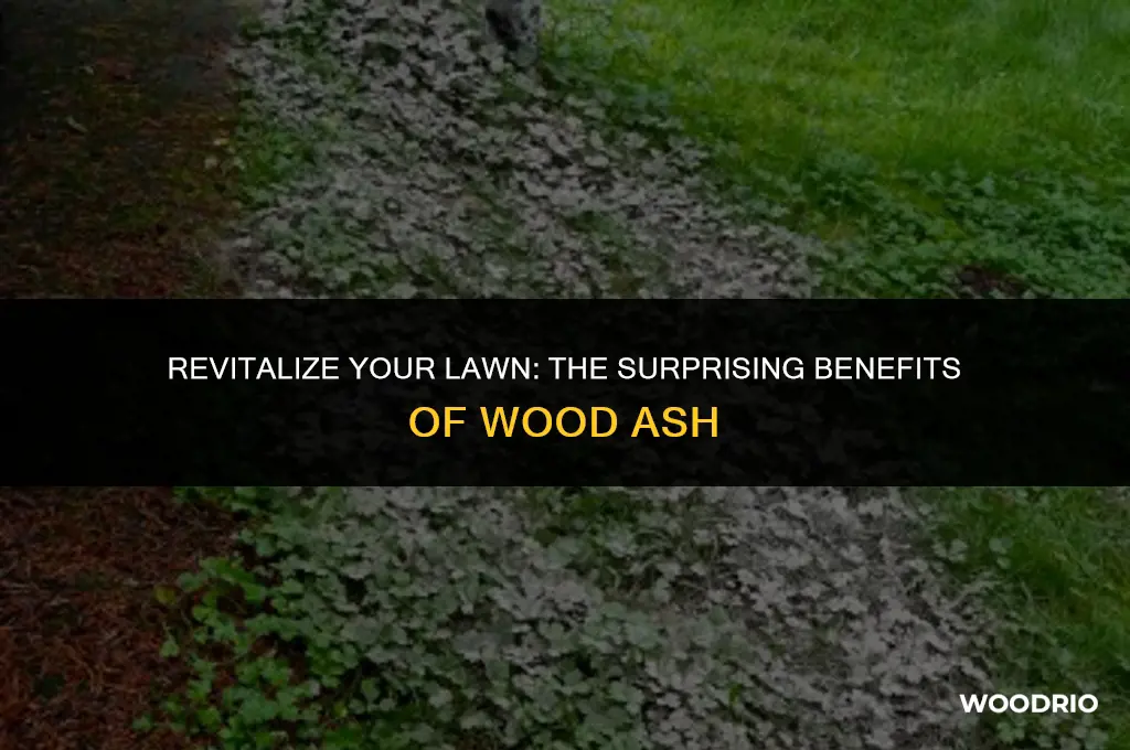 is wood ash good for the lawn