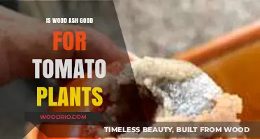 Boosting Tomato Growth: The Benefits of Wood Ash in Gardens