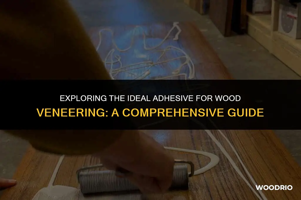 is wood best veneer glue