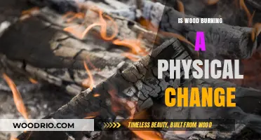 The Science Behind Wood Burning: Understanding Physical Changes