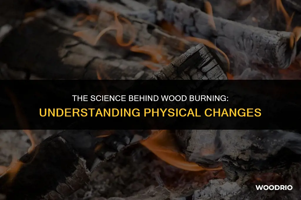 is wood burning a physical change