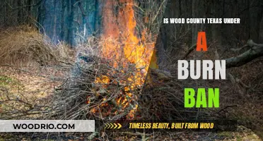 Wood County, Texas Burn Ban Status: What You Need to Know