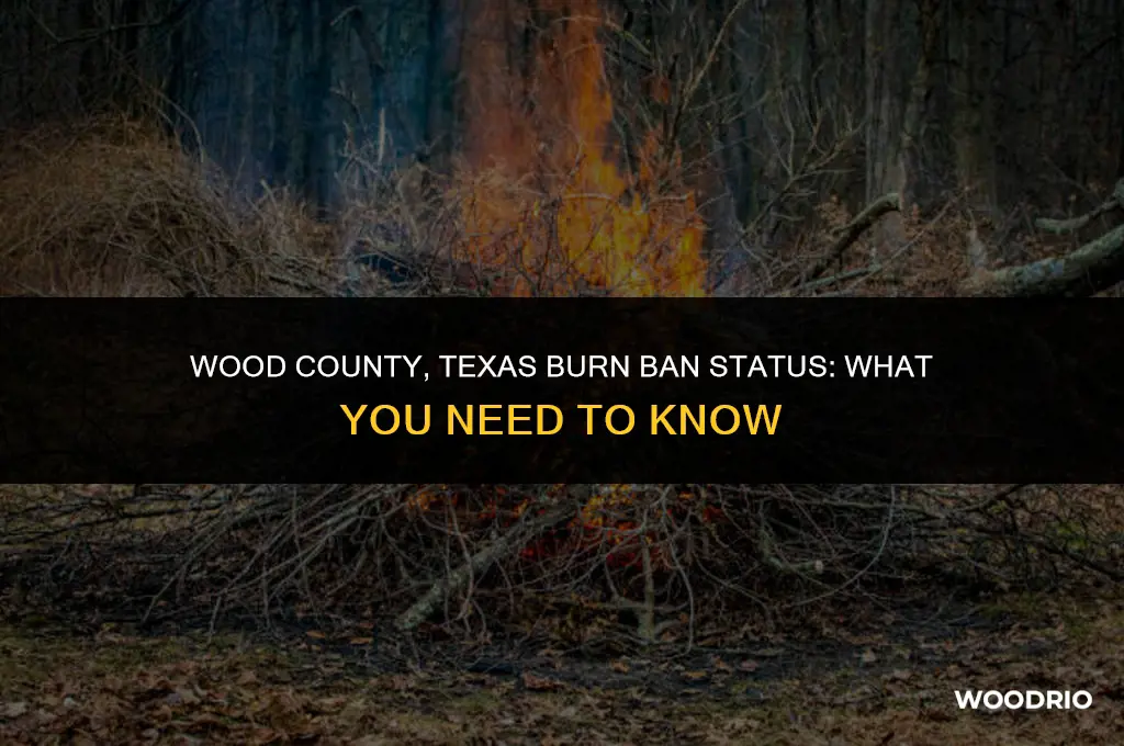 is wood county texas under a burn ban
