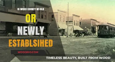 Exploring Wood County, WI: A Historical Overview of Its Establishment