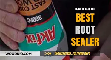 Exploring Wood Glue as a Root Sealer: Myths and Facts Uncovered