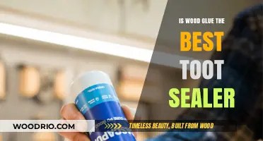 Exploring Wood Glue as a Tooth Sealant: Facts and Myths