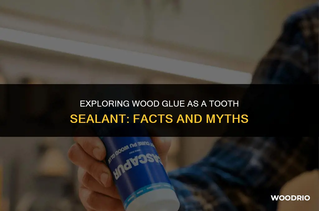 is wood glue the best toot sealer