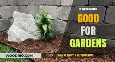 The Benefits of Wood Mulch for Your Garden Explained