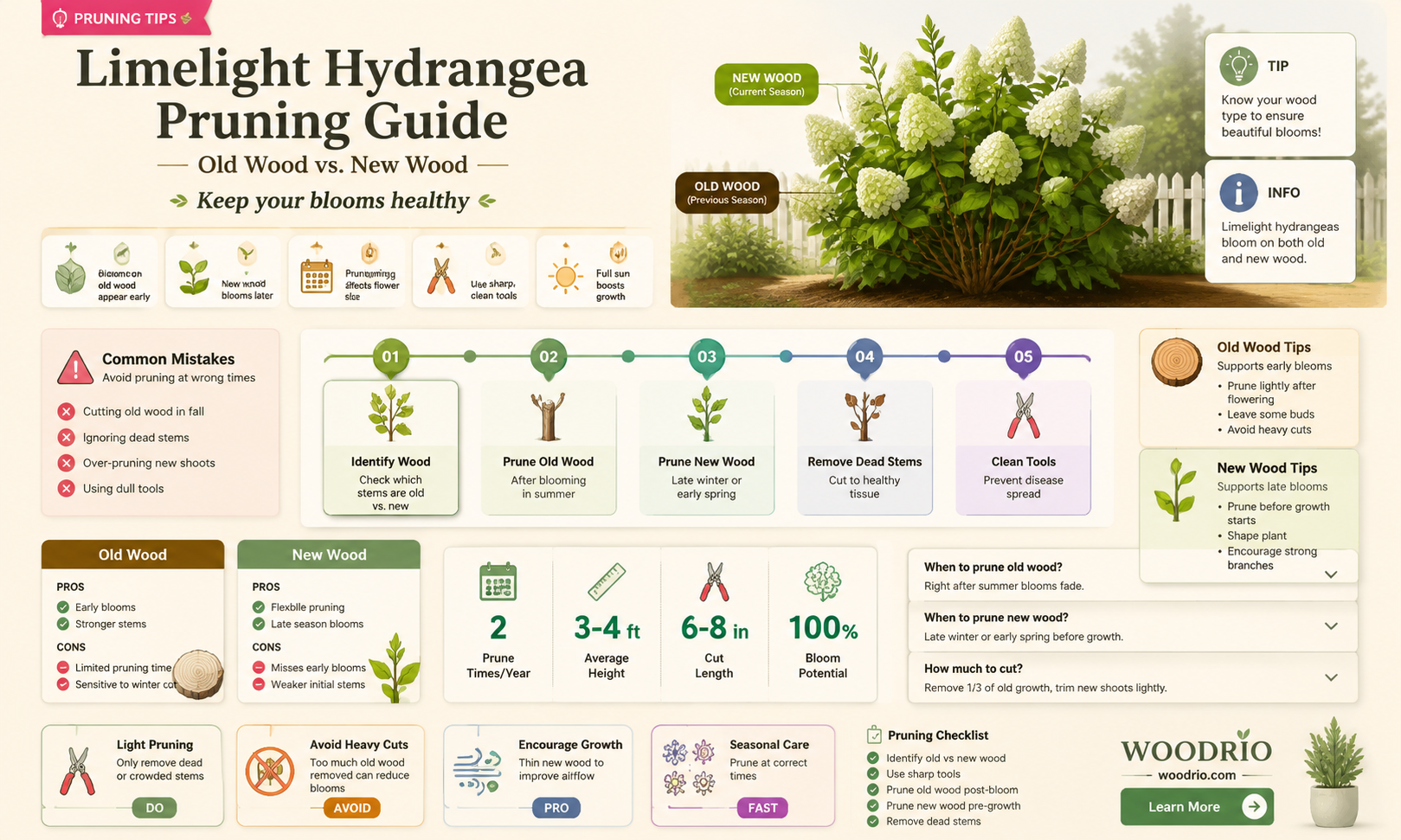 are limelight hydrangea old or new wood