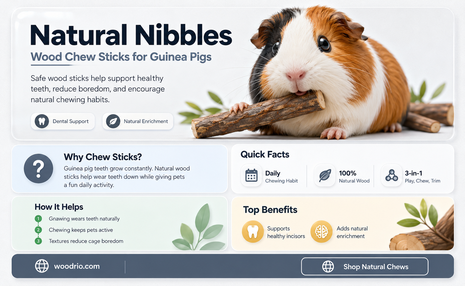 are wood chews sticks good for guinea pigs