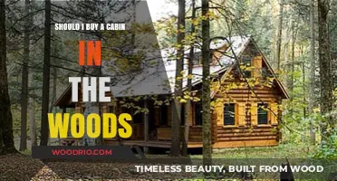 Escape to Nature: Is Buying a Cabin in the Woods Right for You?