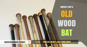 Old Wood Bats: Pros, Cons, and Should You Invest?
