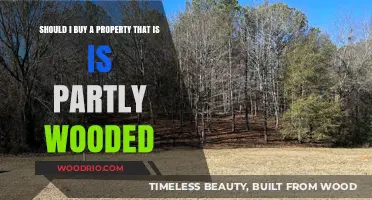 Partly Wooded Property: Pros, Cons, and Buying Considerations