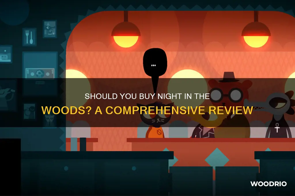 should i buy night in the woods