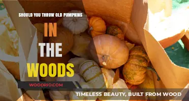 Eco-Friendly Pumpkin Disposal: Should You Toss Old Pumpkins in the Woods?