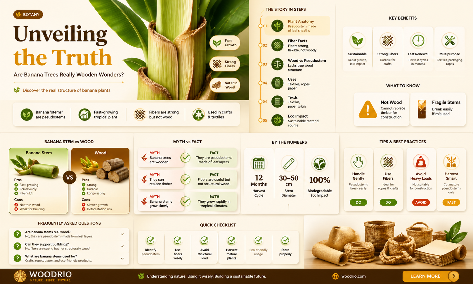 are banana trees made of wood