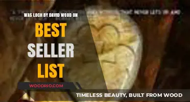 Loch by David Wood: A Journey to the Top of the Bestseller List