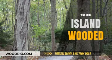 Was Long Island Once a Dense Forest? Uncovering Its Wooded Past
