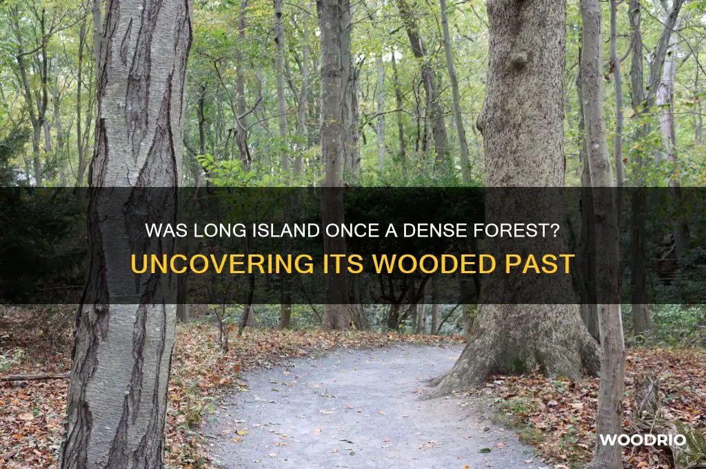 was long island wooded