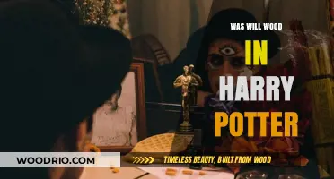 Unveiling the Magic: Will Wood's Enchanting Role in Harry Potter