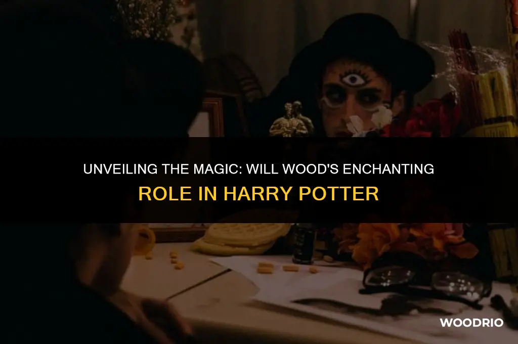 was will wood in harry potter