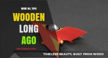 From Wood to Plastic: The Evolution of Toys Through History
