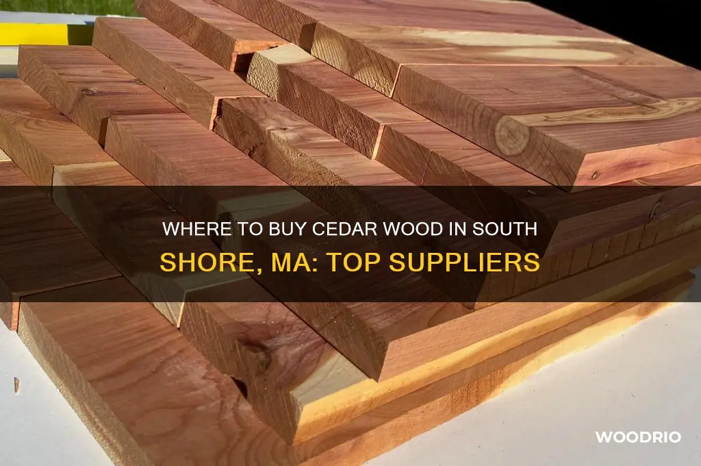 were to buy cedar wood south shore ma