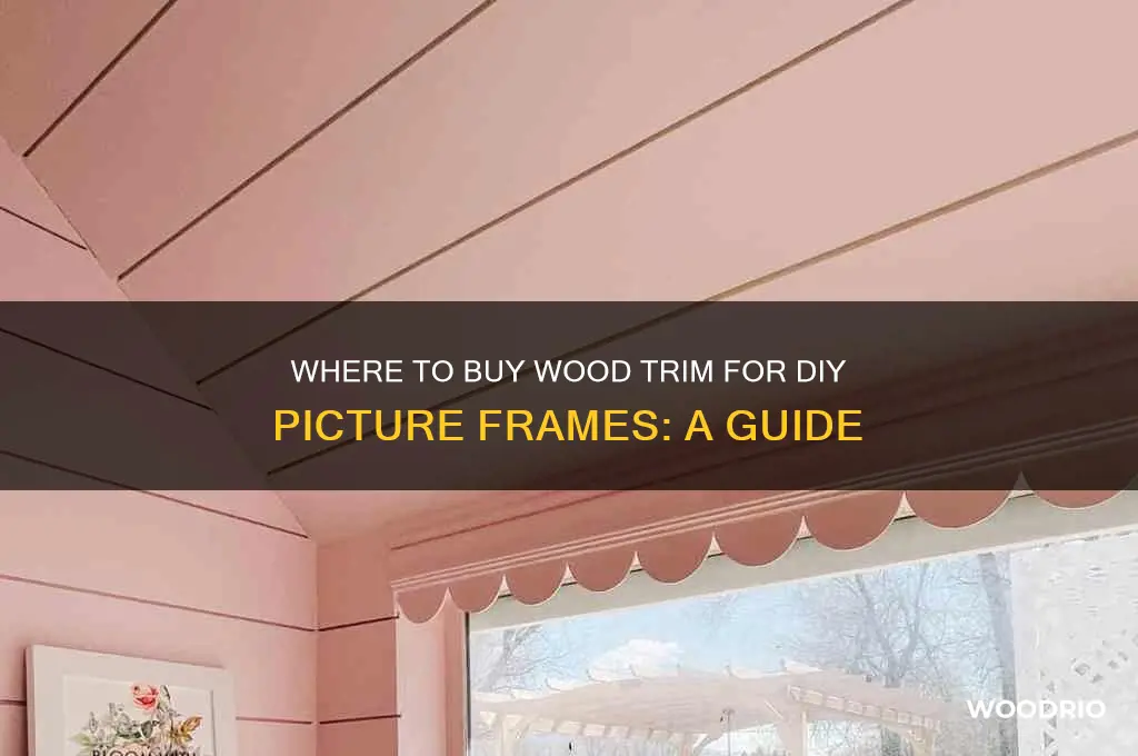 were to buy wood trim to make picture frames