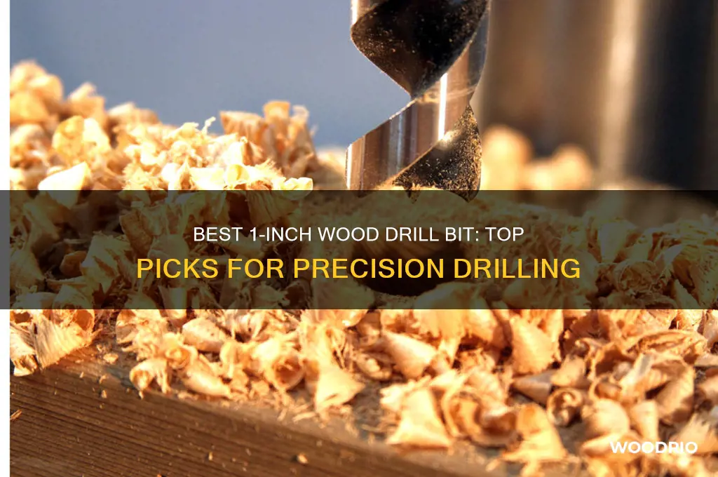 what 1 inch diameter wood drill bit should i buy