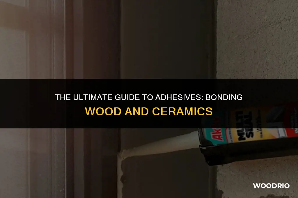what adhesive best bonds wood and ceramics