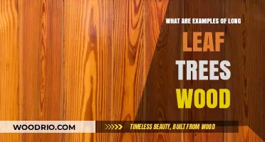 Long Leaf Pine: Exploring Durable Wood Examples and Uses
