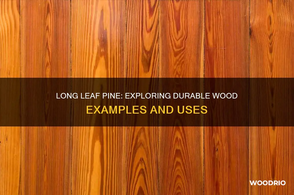 what are examples of long leaf trees wood