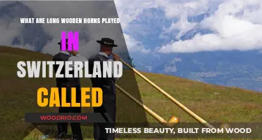 Discovering Switzerland's Traditional Long Wooden Horns: The Alphorn's Unique Sound