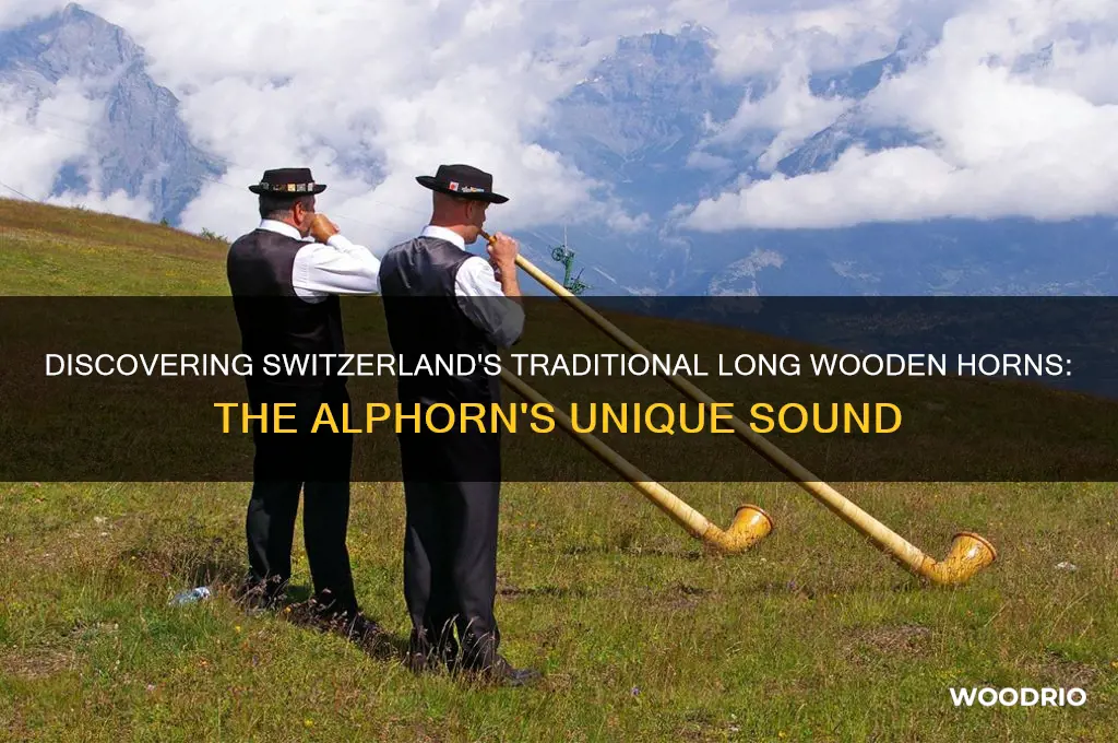 what are long wooden horns played in switzerland called