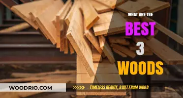 Exploring the Top Three Wood Types for Your Next Project