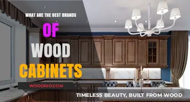 Top Wood Cabinet Brands: A Comprehensive Guide for Your Home