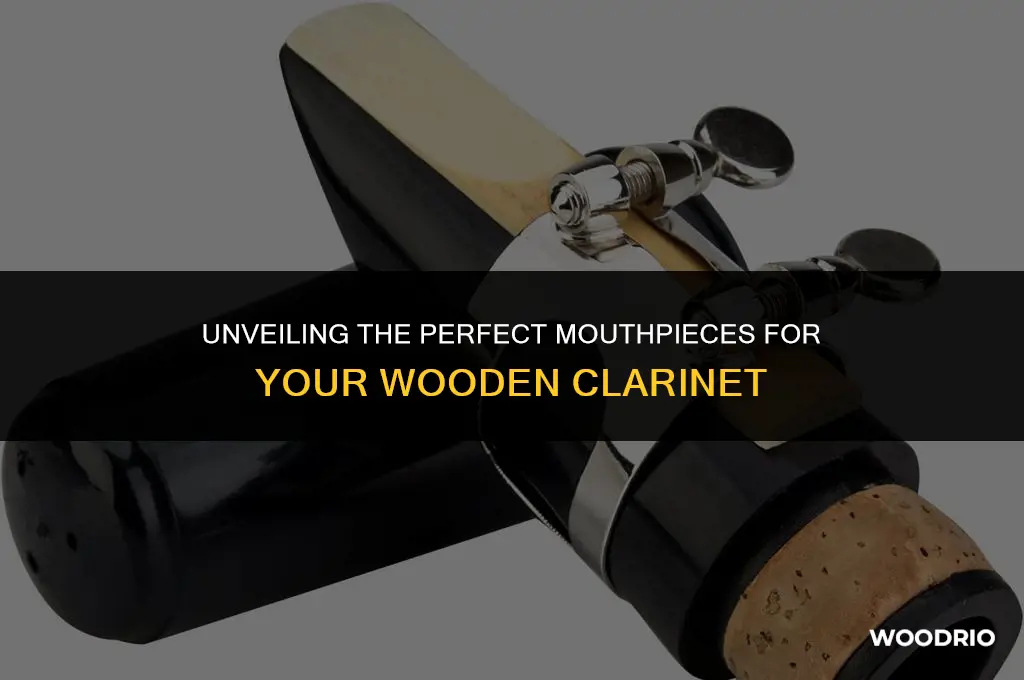 what are the best mouthpieces for a wooden clarinet