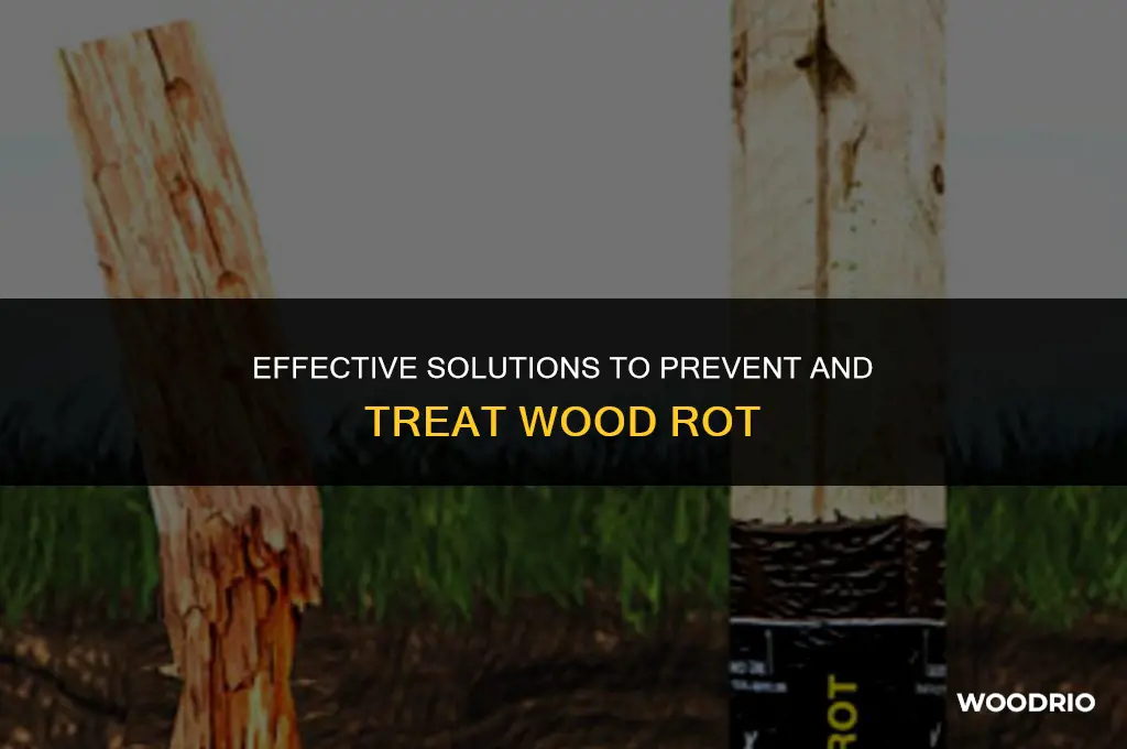 what are the best products to stop wood rot