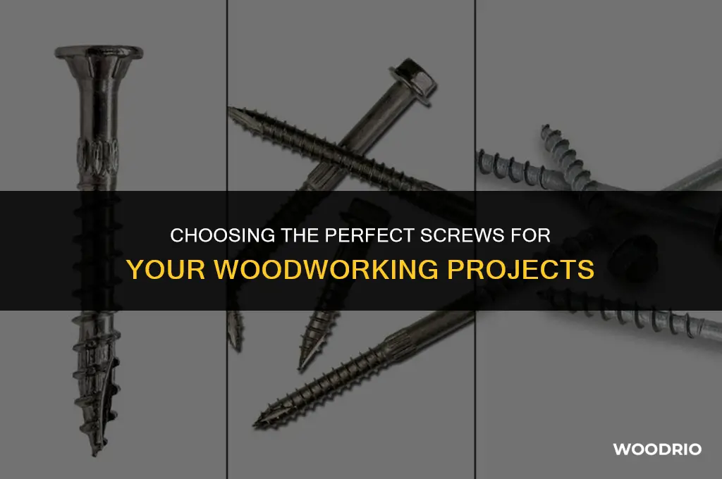 what are the best screws for wood